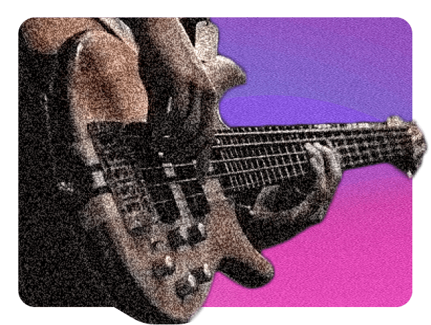 View ベーシスト professionals